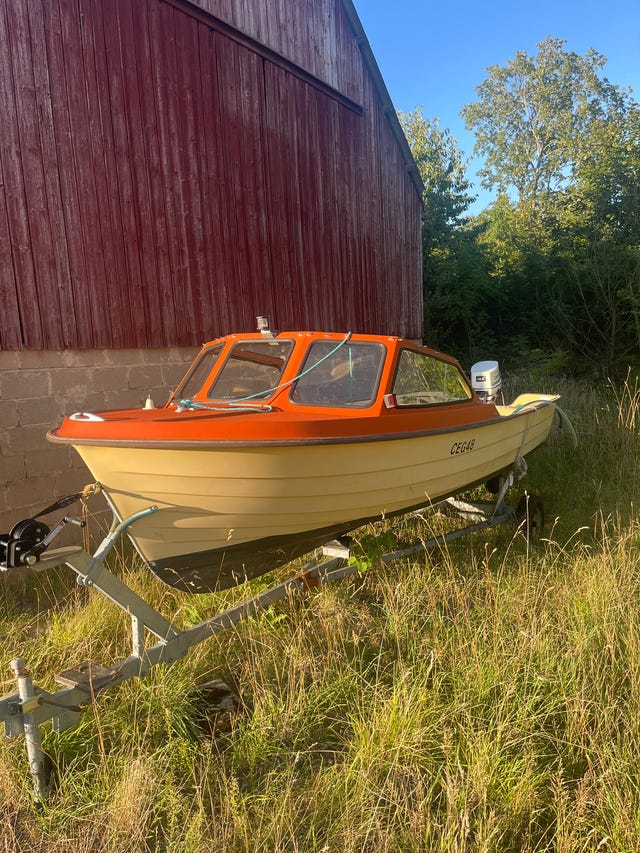 Rana 17