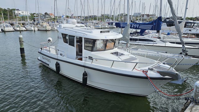 Sargo 28