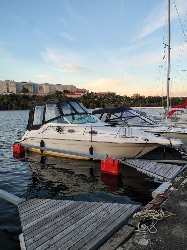 Höstpris! Sea Ray sundancer 250 daycruiser