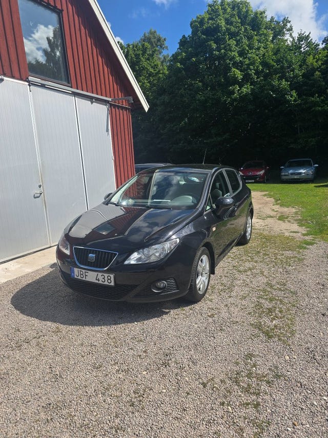 Seat Ibiza 2011
