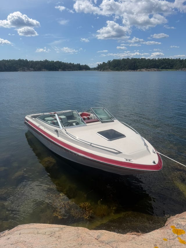 Sea ray 200 CC