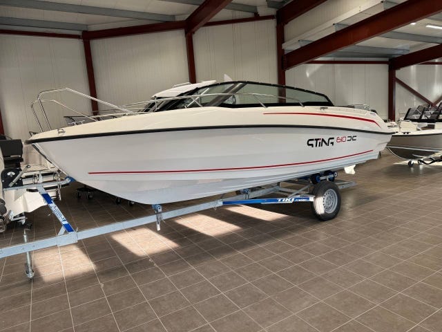 Sting 610 DC + Evinrude E115 H.O (2018)
