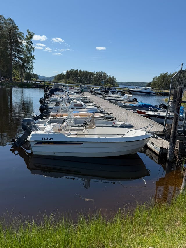 Styrpulpetbåt
