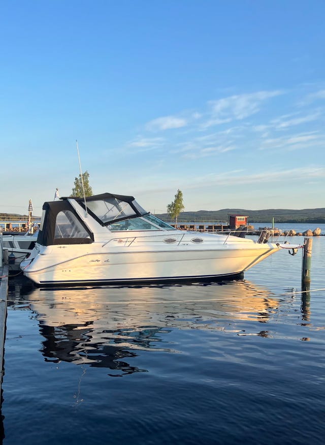 Sea Ray Sundancer 290