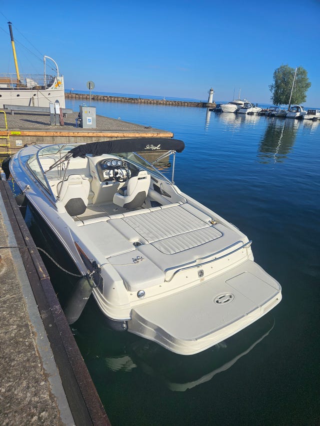 Sea Ray 220 v8