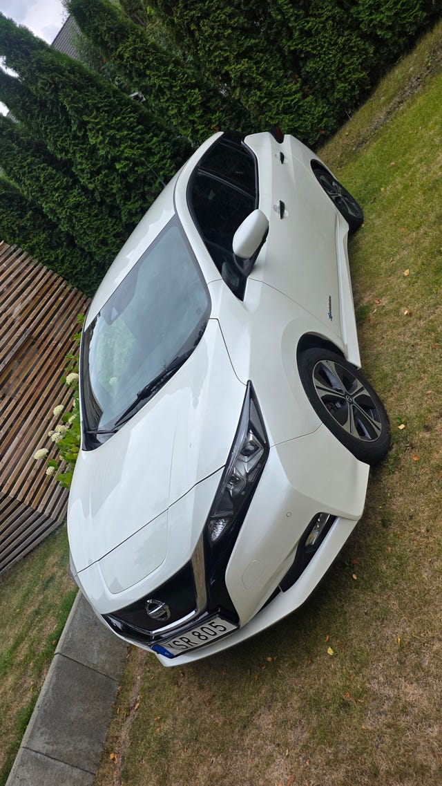 Nissan Leaf 2019