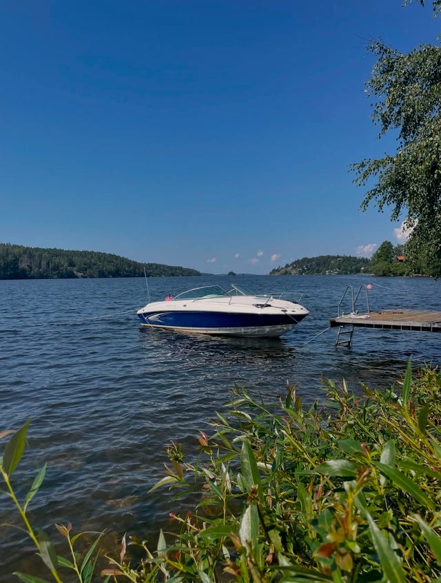 Monterey Montura 218LS - MerCruiser 1.7 DTI Diesel