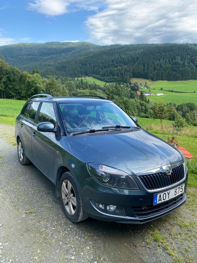 Skoda Fabia 2014