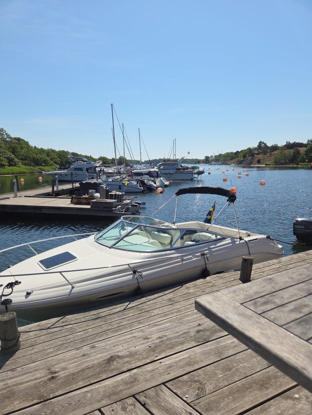 Sea Ray 215 Express cruiser