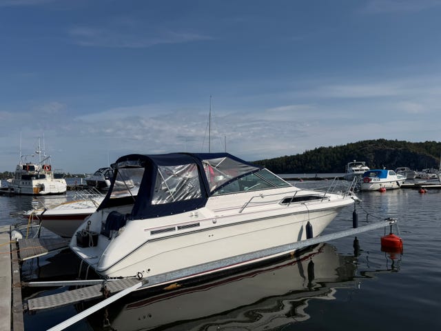 SeaRay 250 Sundancer V8 330 hk - mycket fint skick