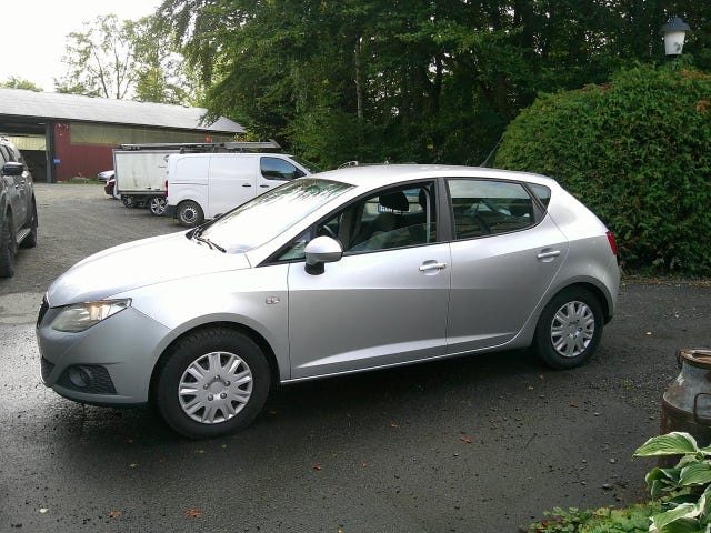 Seat Ibiza 2010