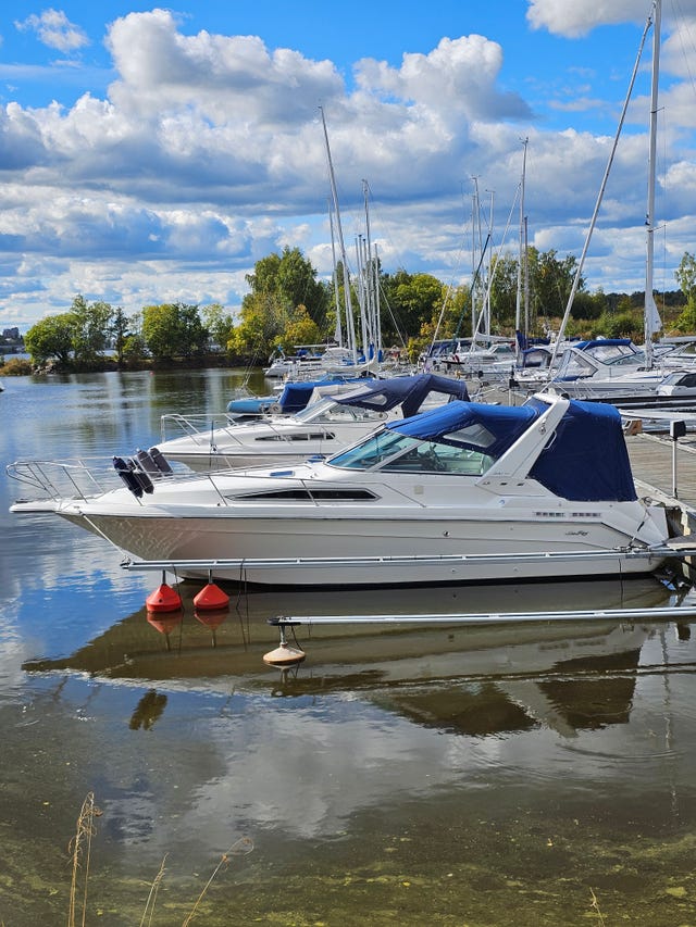 Fin Sea Ray 270/290 DA