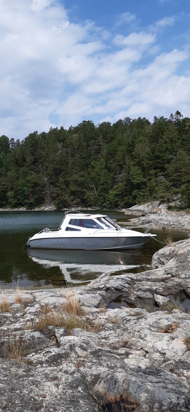 Silver Eagle Cabin 650