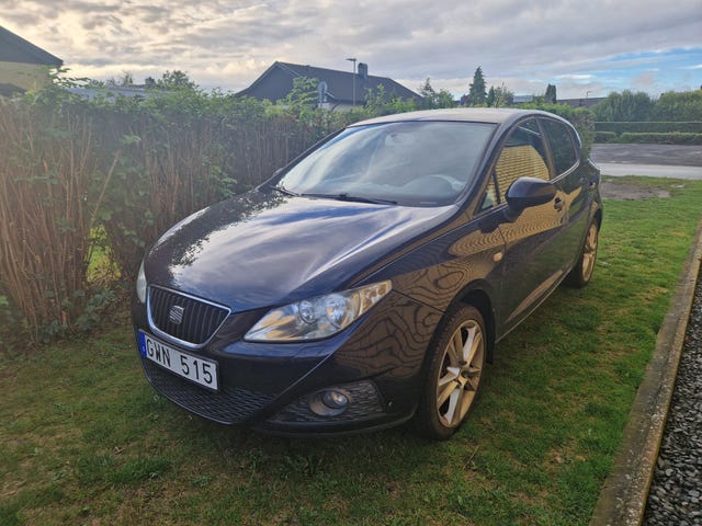 Seat Ibiza 2010