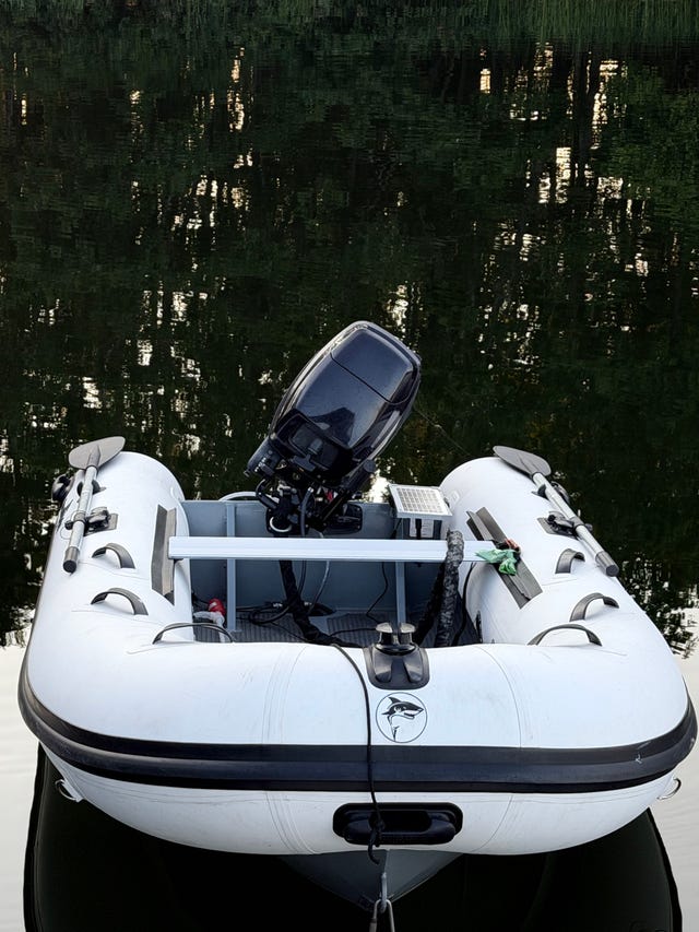 Greate white 300