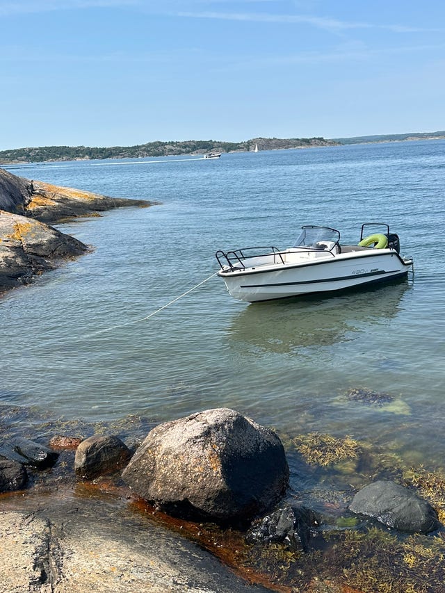 Ryds 490 V Sport 2021