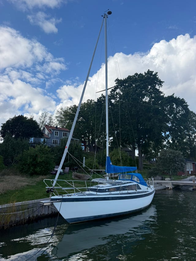 Winga 29