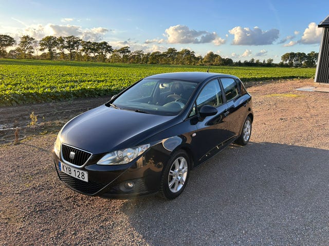 Seat Ibiza 2010