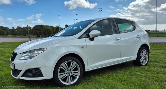 Seat Ibiza 2010