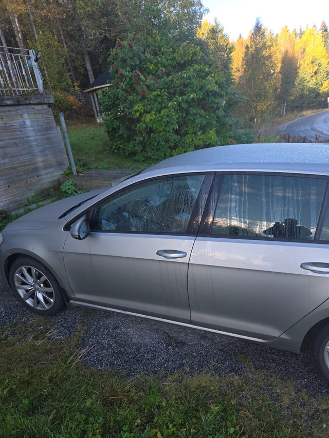 Volkswagen Golf VII 2014 – bild 2