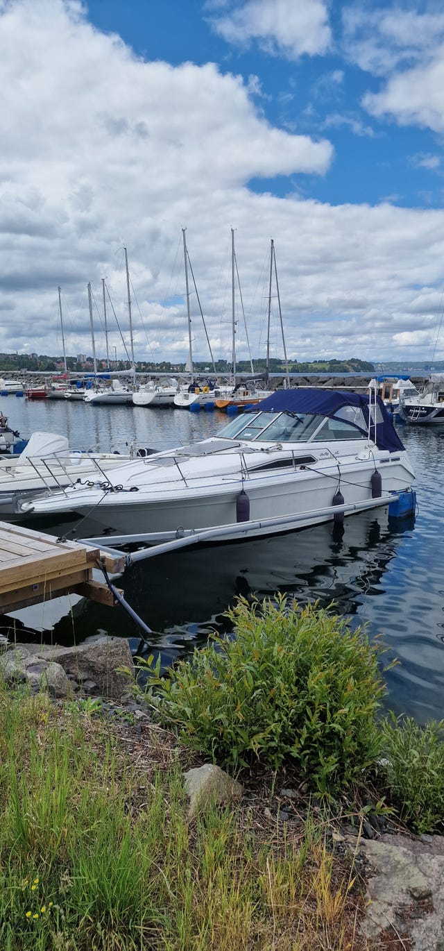 Sea ray 290 sundancer 1992