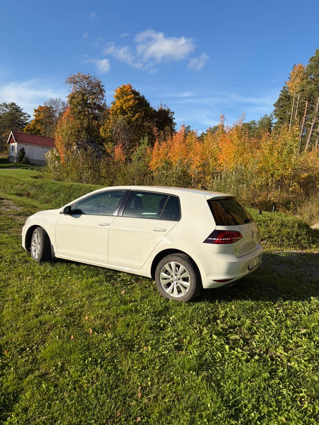 Volkswagen Golf VII 2014