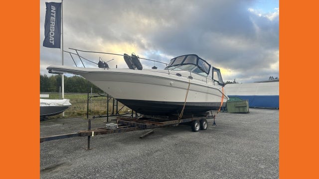 Sea Ray 290
