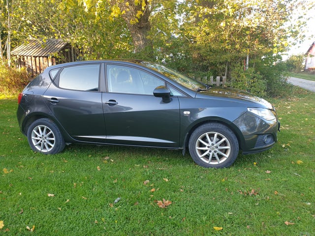 Seat Ibiza 2011