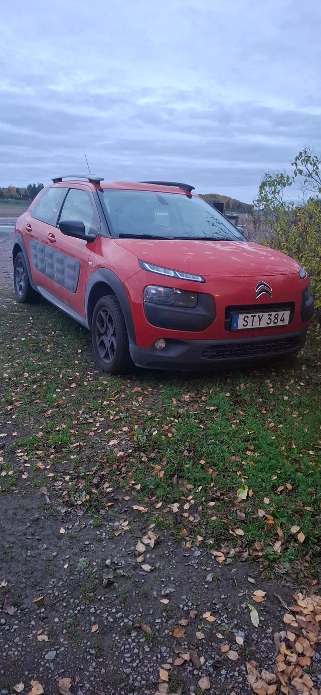 Citroen C4 Cactus 2014