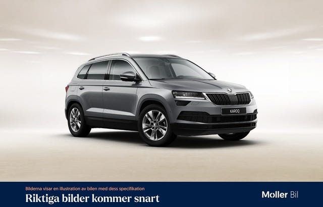 Skoda Karoq 2019