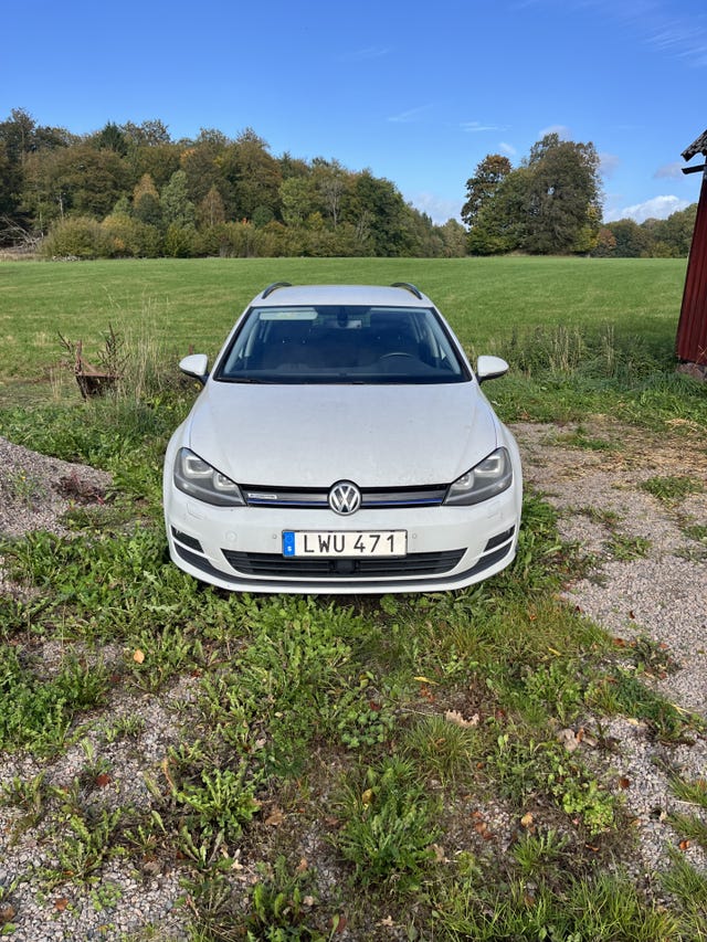Volkswagen Golf VII 2015 – bild 2