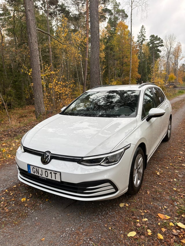 Volkswagen Golf VIII 2024