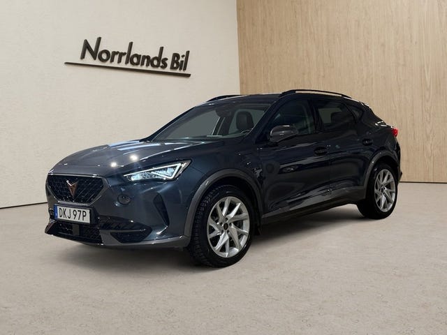Seat Cupra 2024