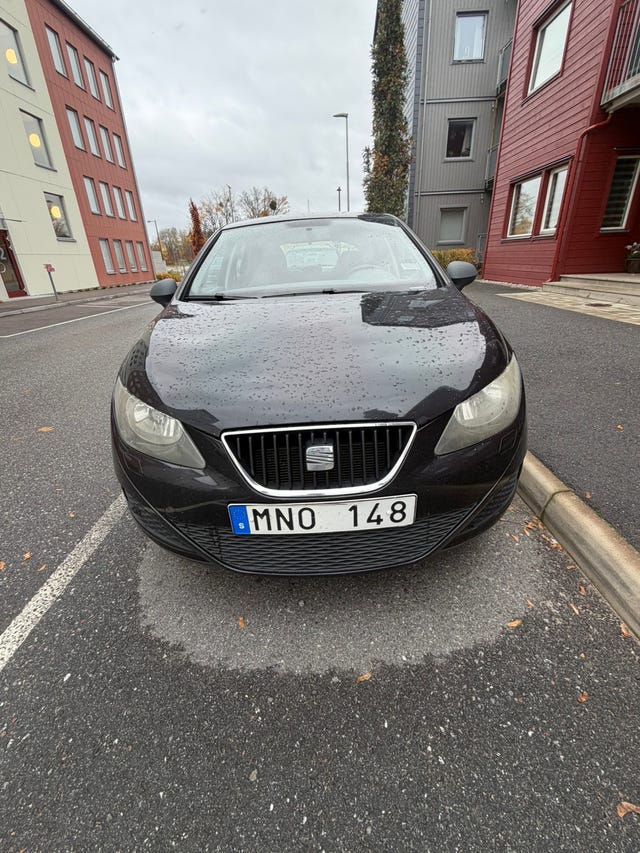 Seat Ibiza 2010