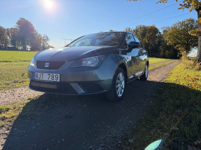 Seat Ibiza 2013