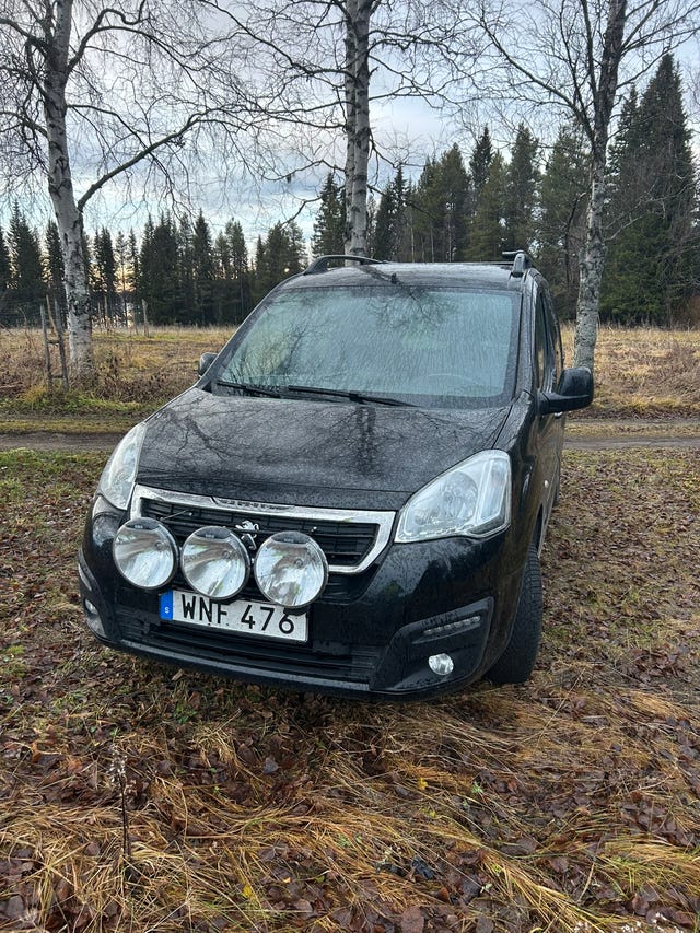 Peugeot Partner Tepee 2015