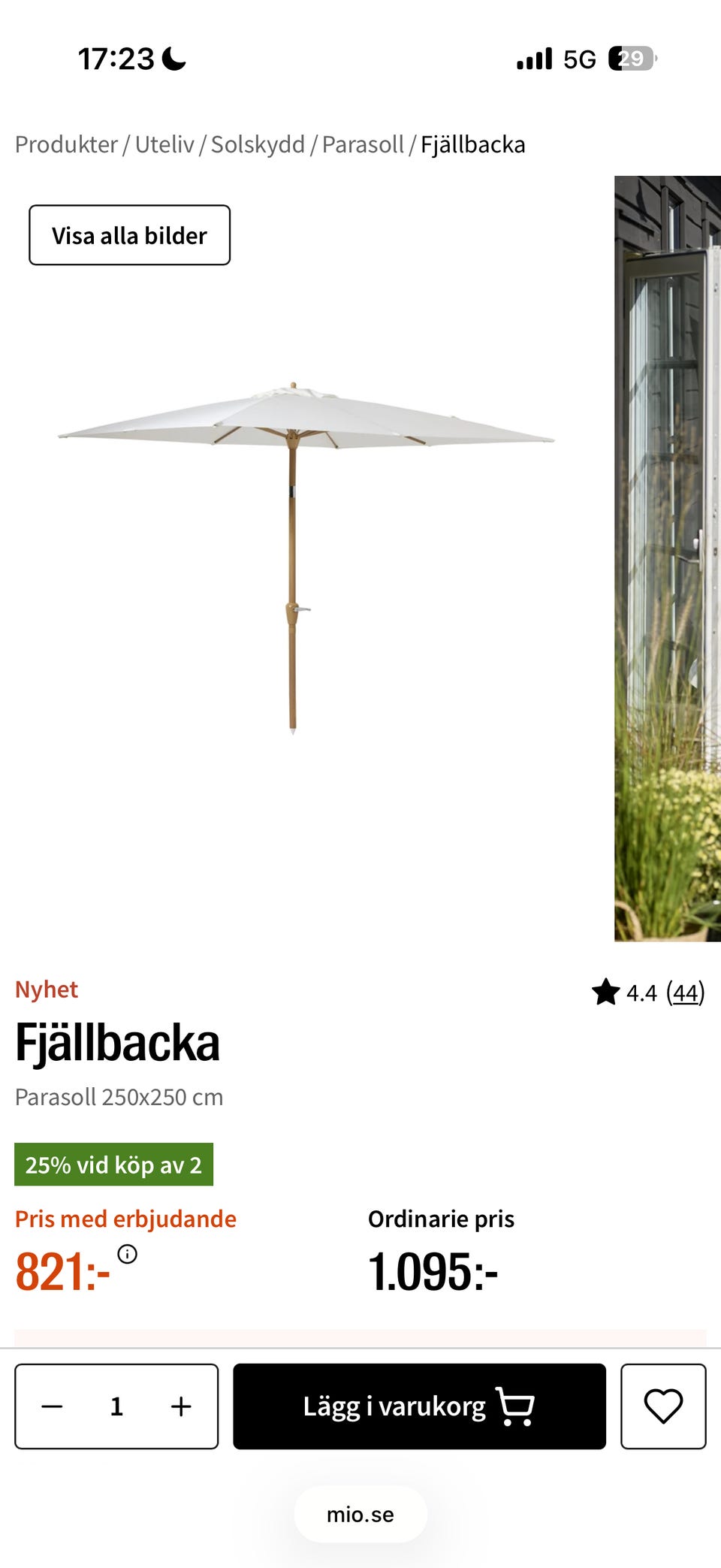 Galleribild
