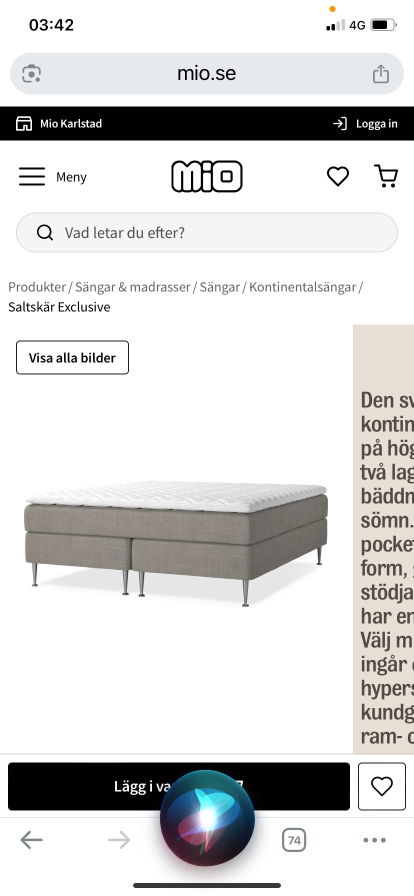 Galleribild
