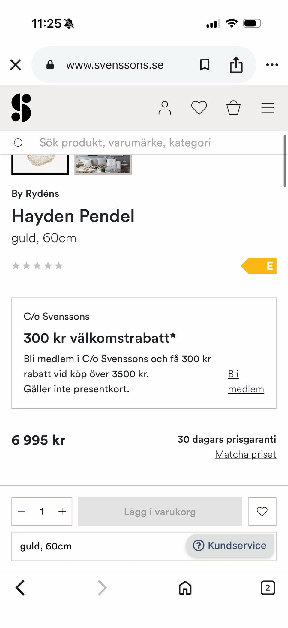 Galleribild