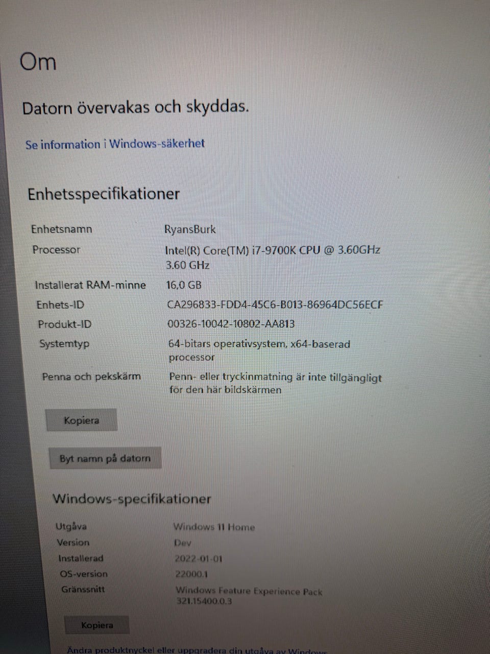 Galleribild