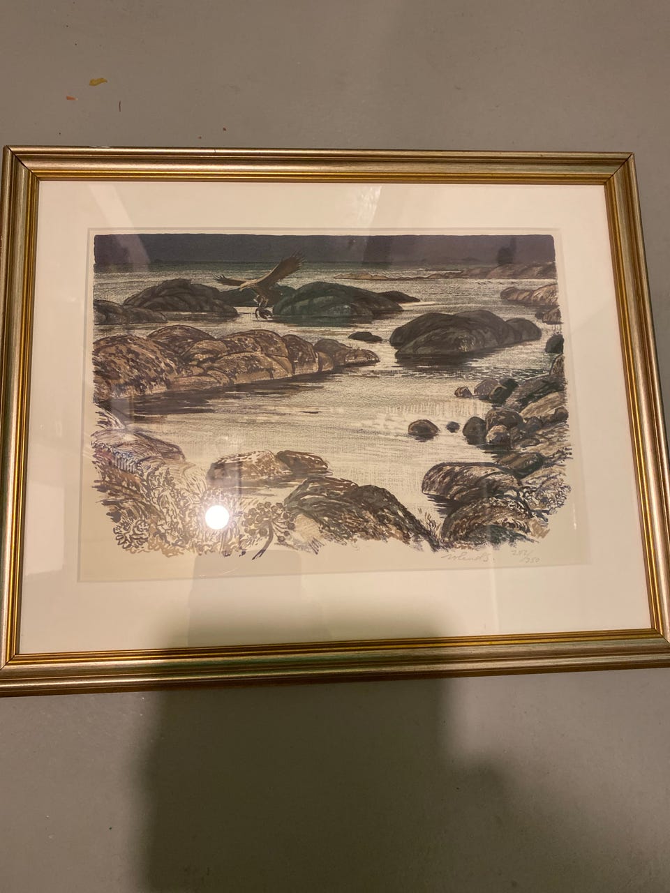 Galleribild