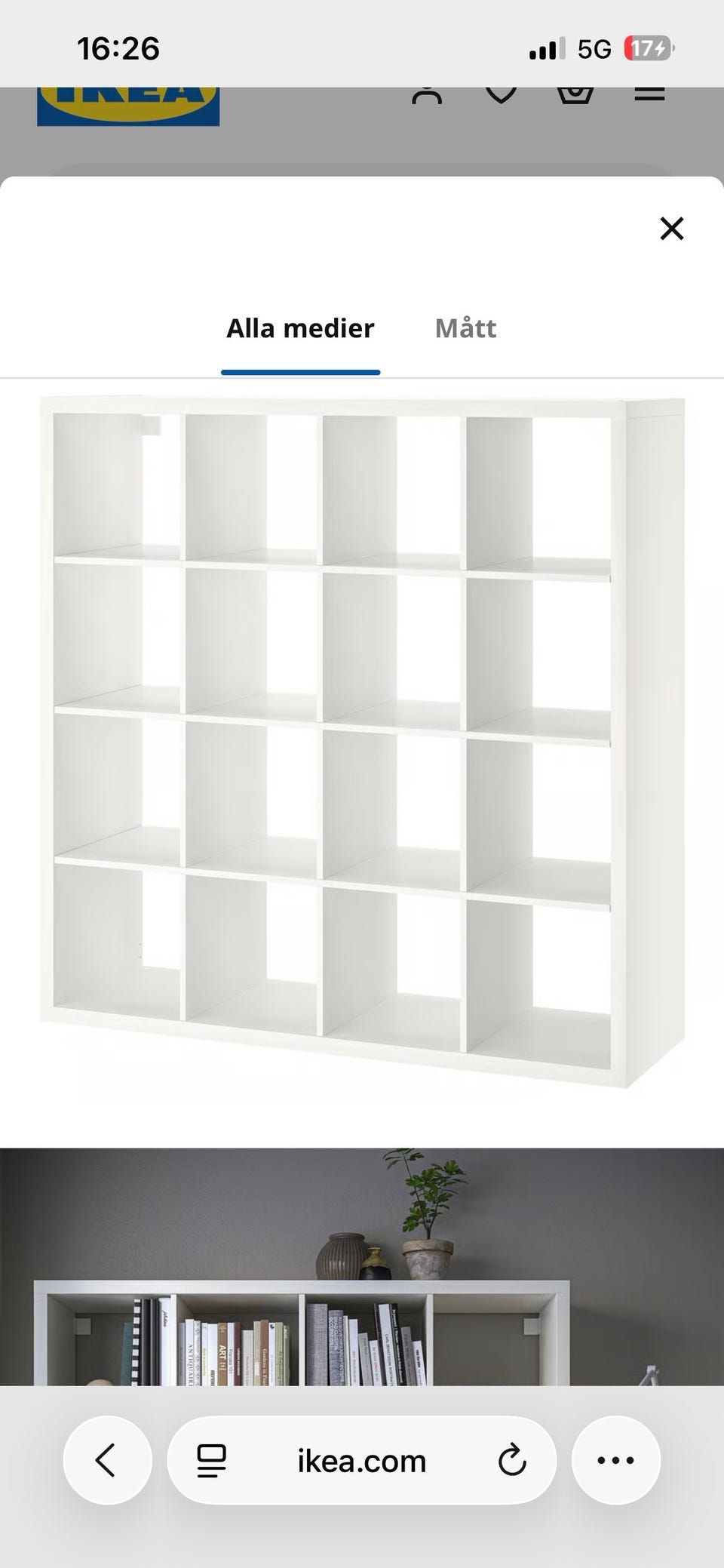 Galleribild
