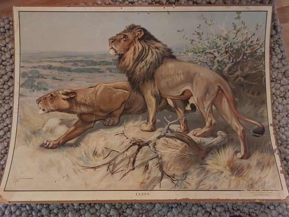 Galleribild