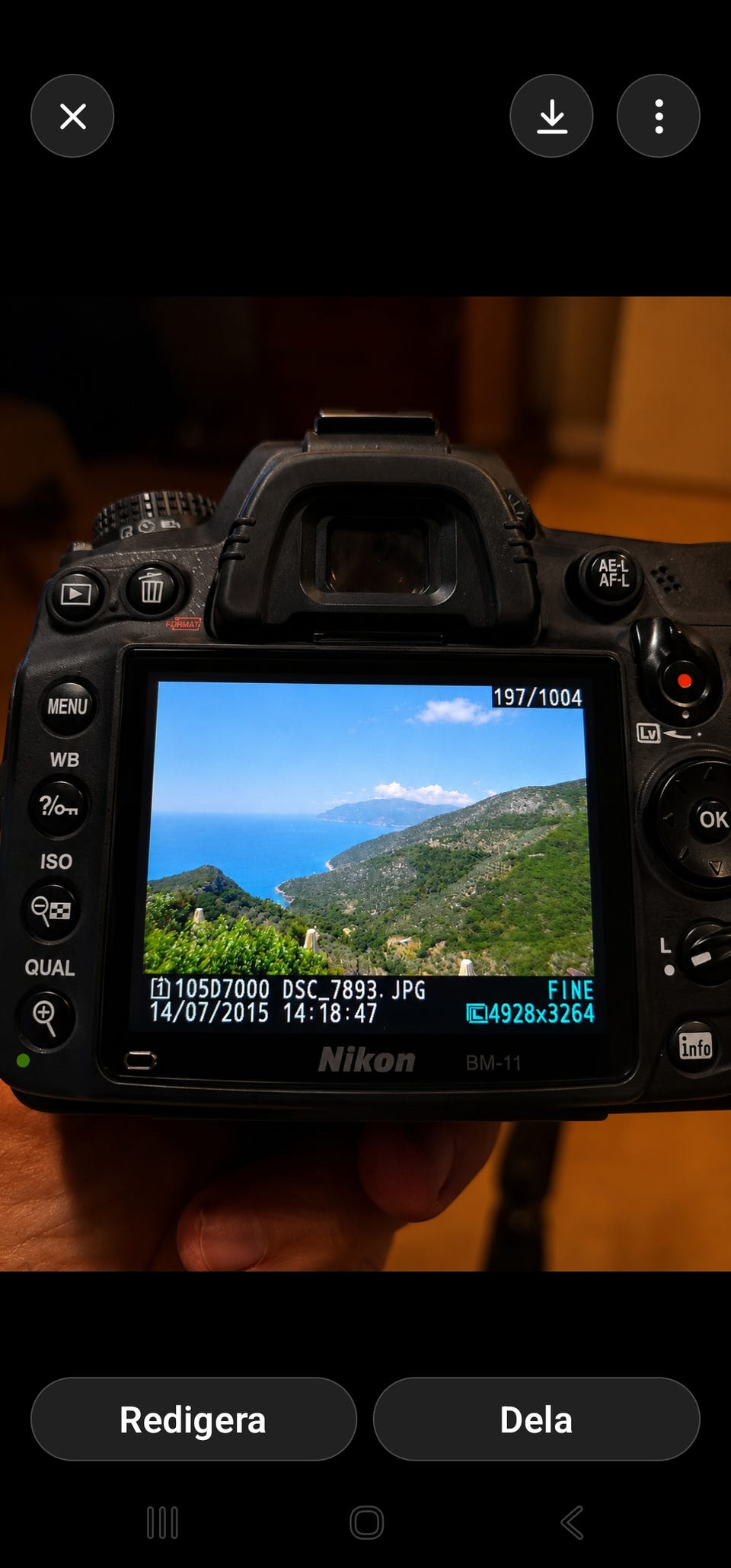 Galleribild