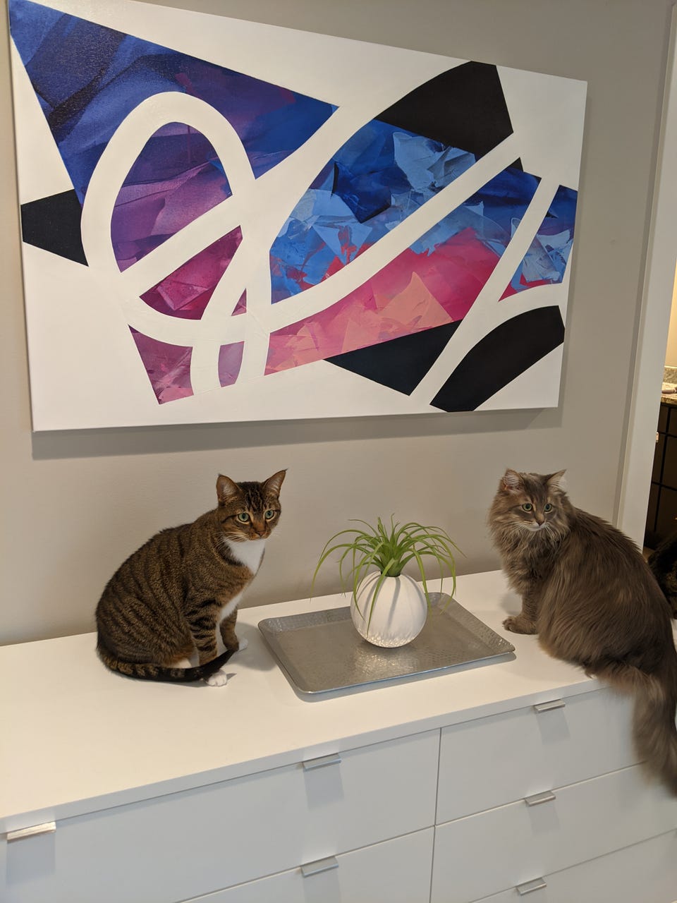 Galleribild