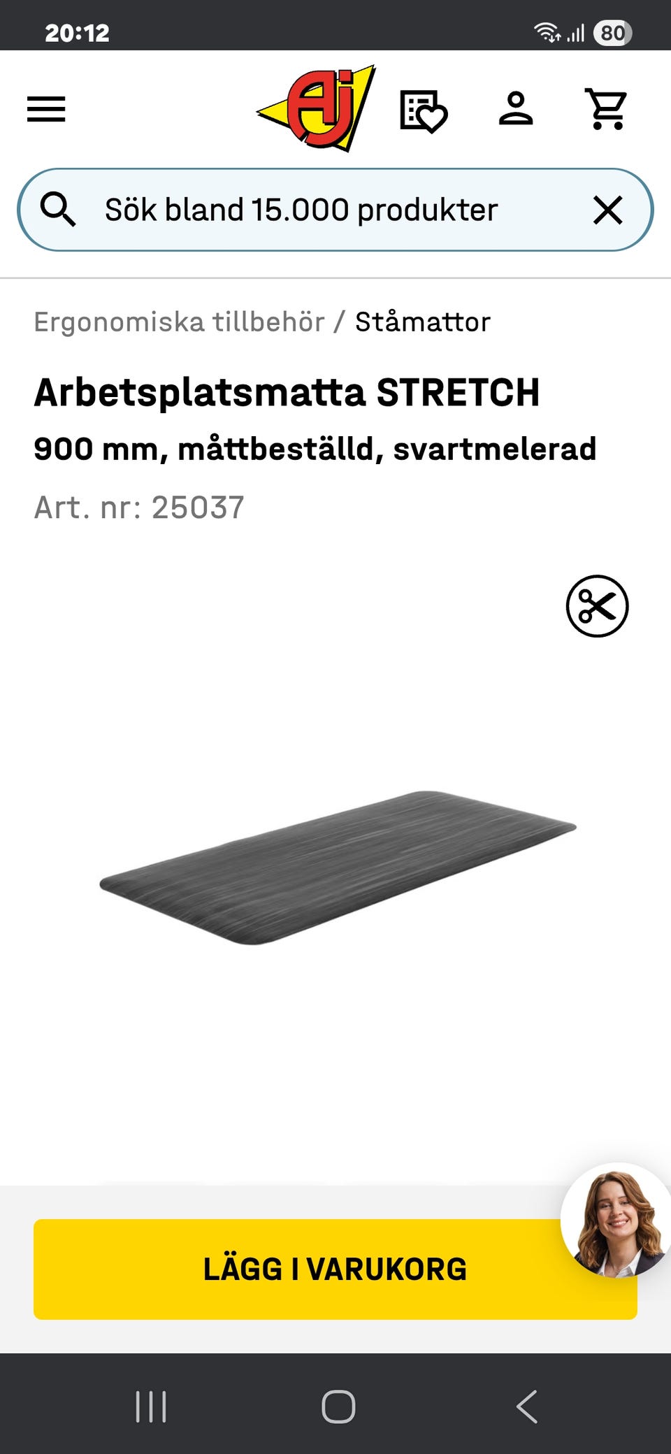 Galleribild