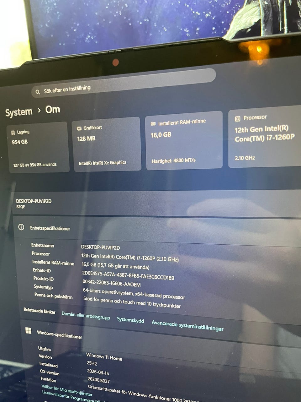 Galleribild