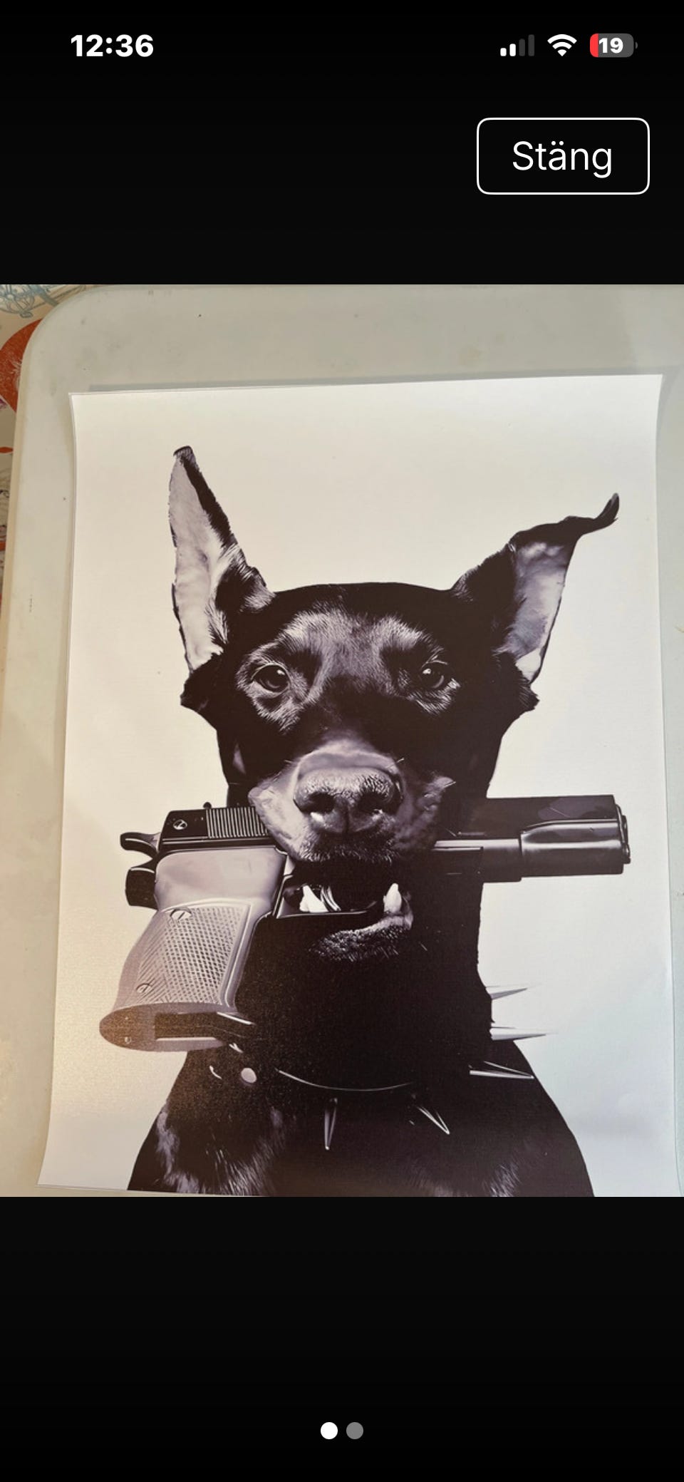 Galleribild