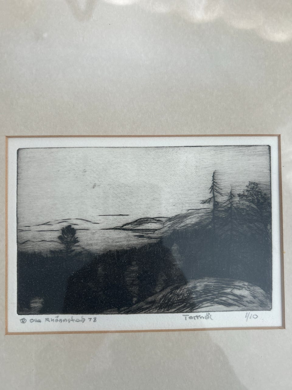Galleribild