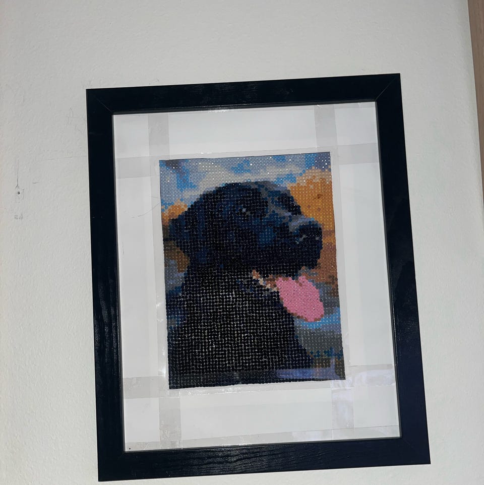 Galleribild